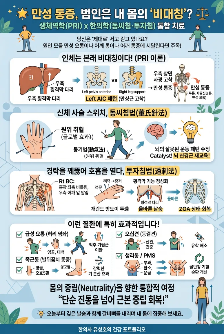 인체의 좌우 비대칭과 PRI 및 원위 취혈의 연결을 설명하는 인포그래픽